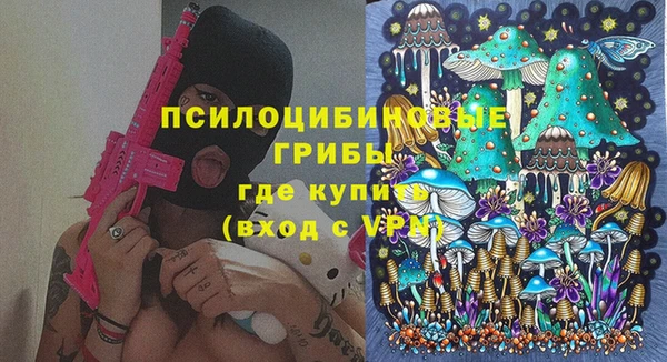 бошки Богородицк