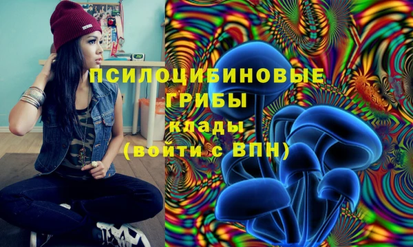 a pvp Богданович