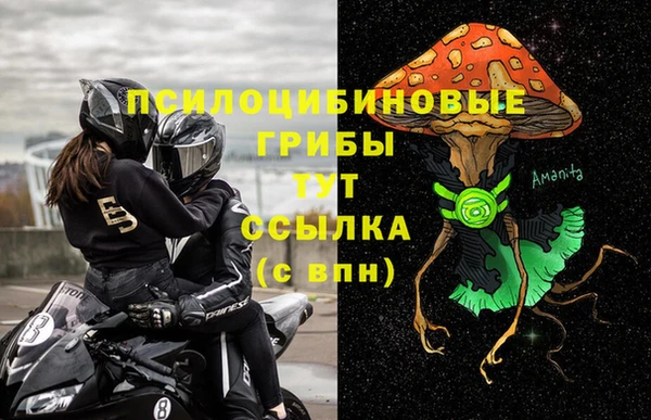 герыч Богородск